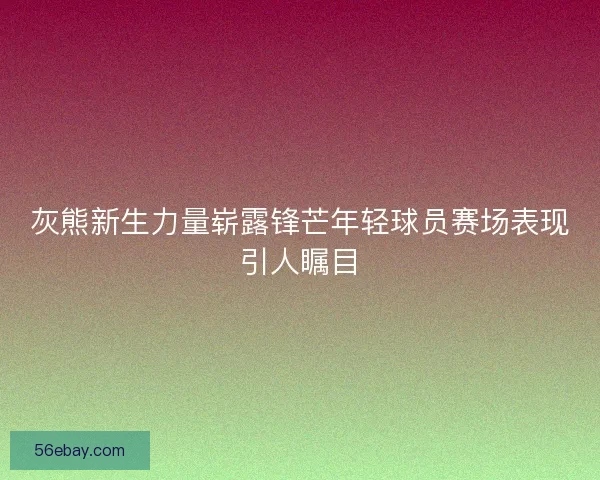 灰熊新生力量崭露锋芒年轻球员赛场表现引人瞩目